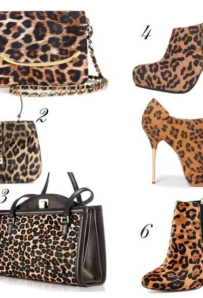 Sparkles and Shoes Leopard Accessories