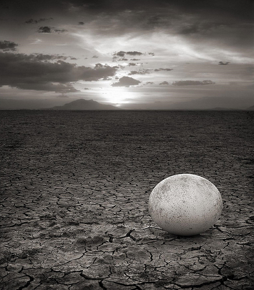 Nick Brandt - Abandoned Ostrich Egg - Amboseli 2007