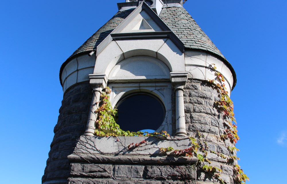 Central Park Photos - 15
