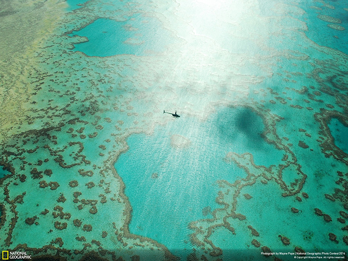 National Geographic Photo Contest -A Ride Over the Reef by Wayne Pope