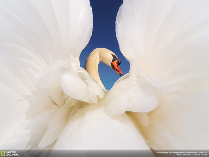 National Geographic Photo Contest - I Win