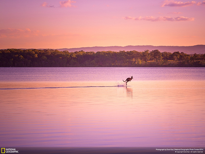 National Geographic Photo Contest -Walking on Water