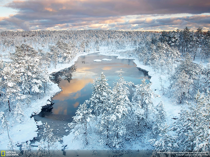 National Geographic Photo Contest - Winter Wonderland