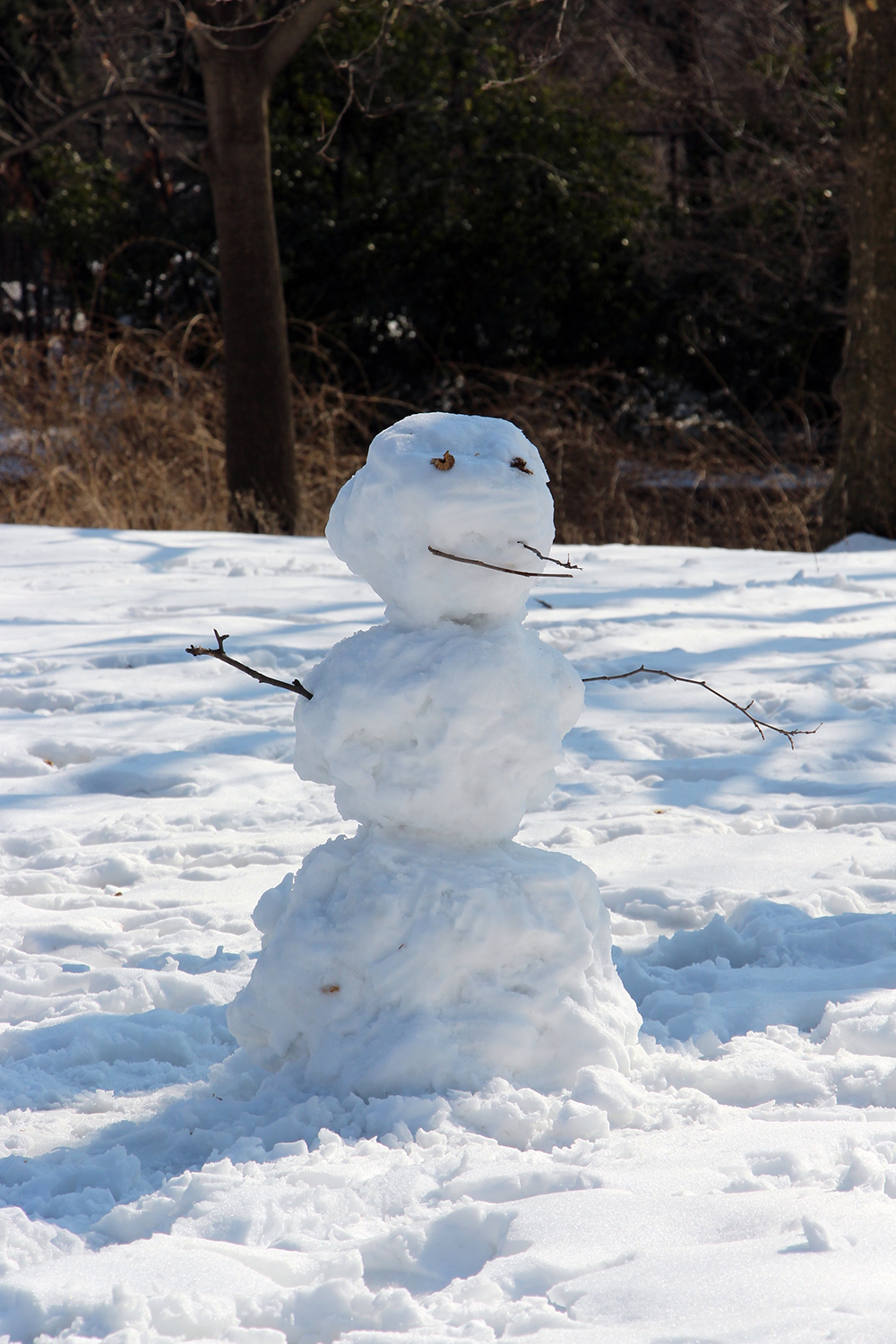 Snowman in Central Park