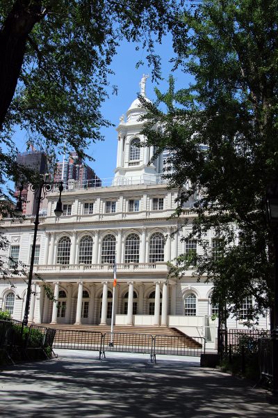 New York City Hall Through Trees