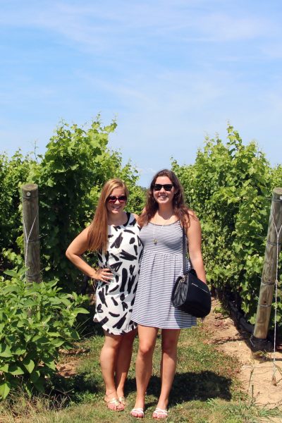 Hamptons Wine Tasting - Duckwalk Vineyard Rows