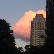 Pink Clouds