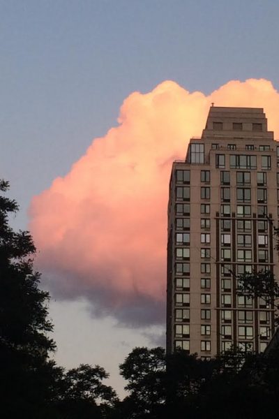 Pink Clouds