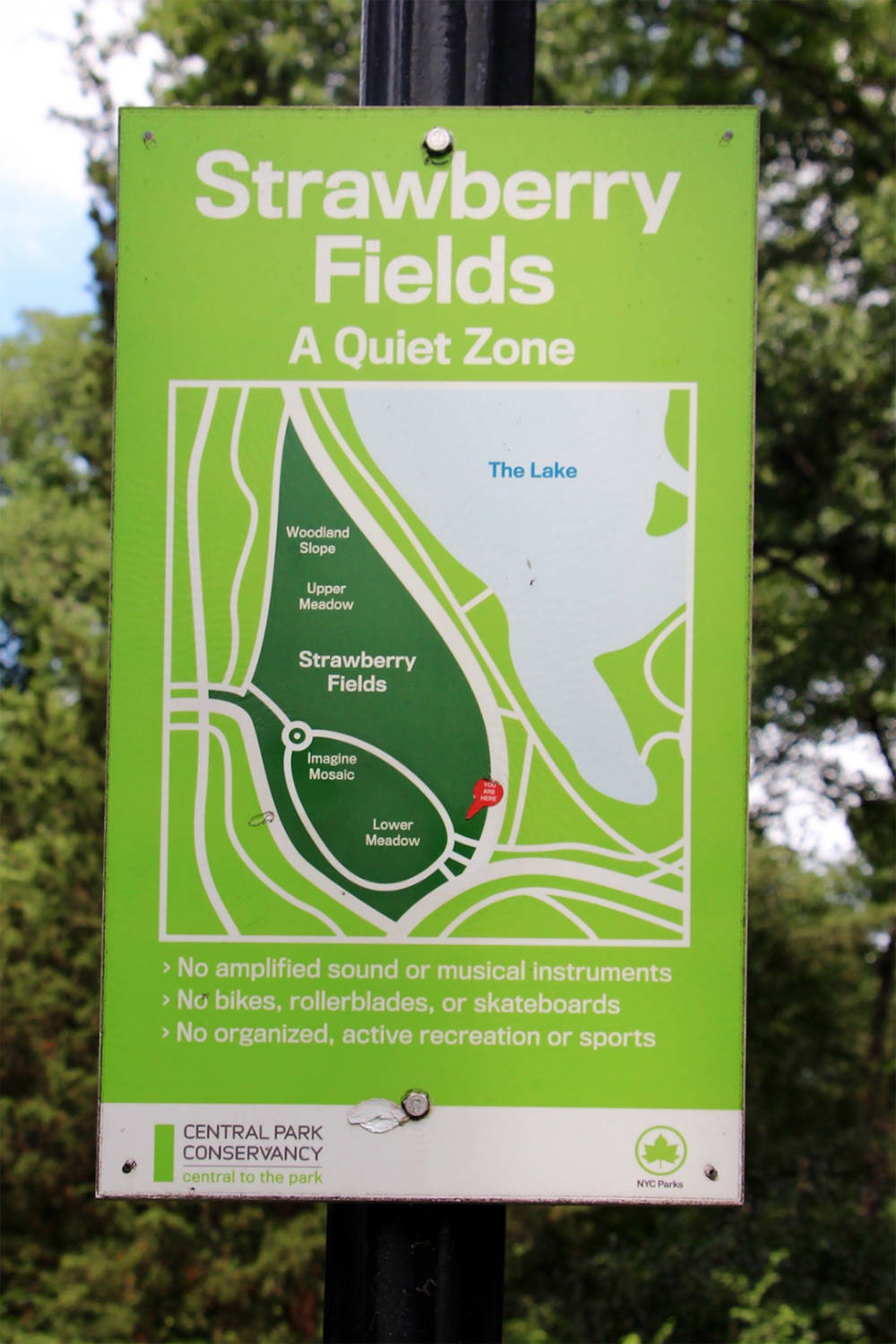 Strawberry Fields in Central Park