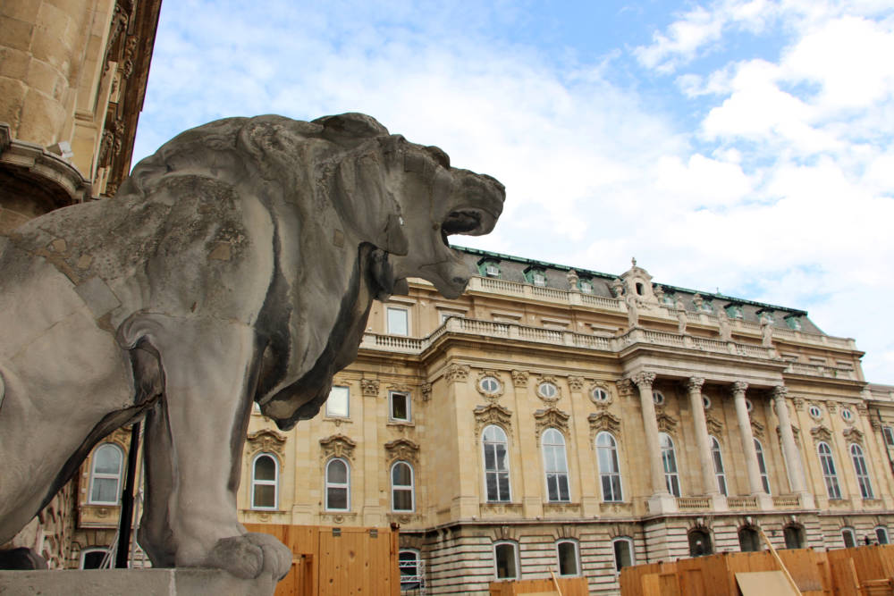Buda Castle Courtyard Lion