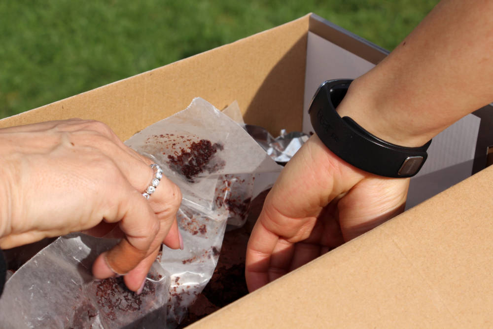 Ultimate Frisbee Brownies 2