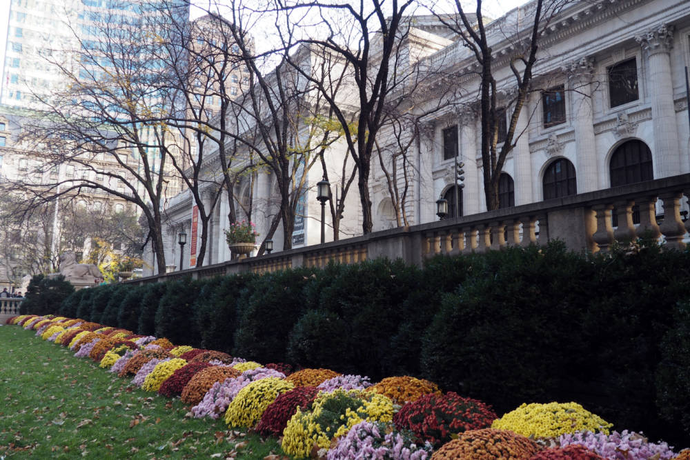 New York Public Library Flowers