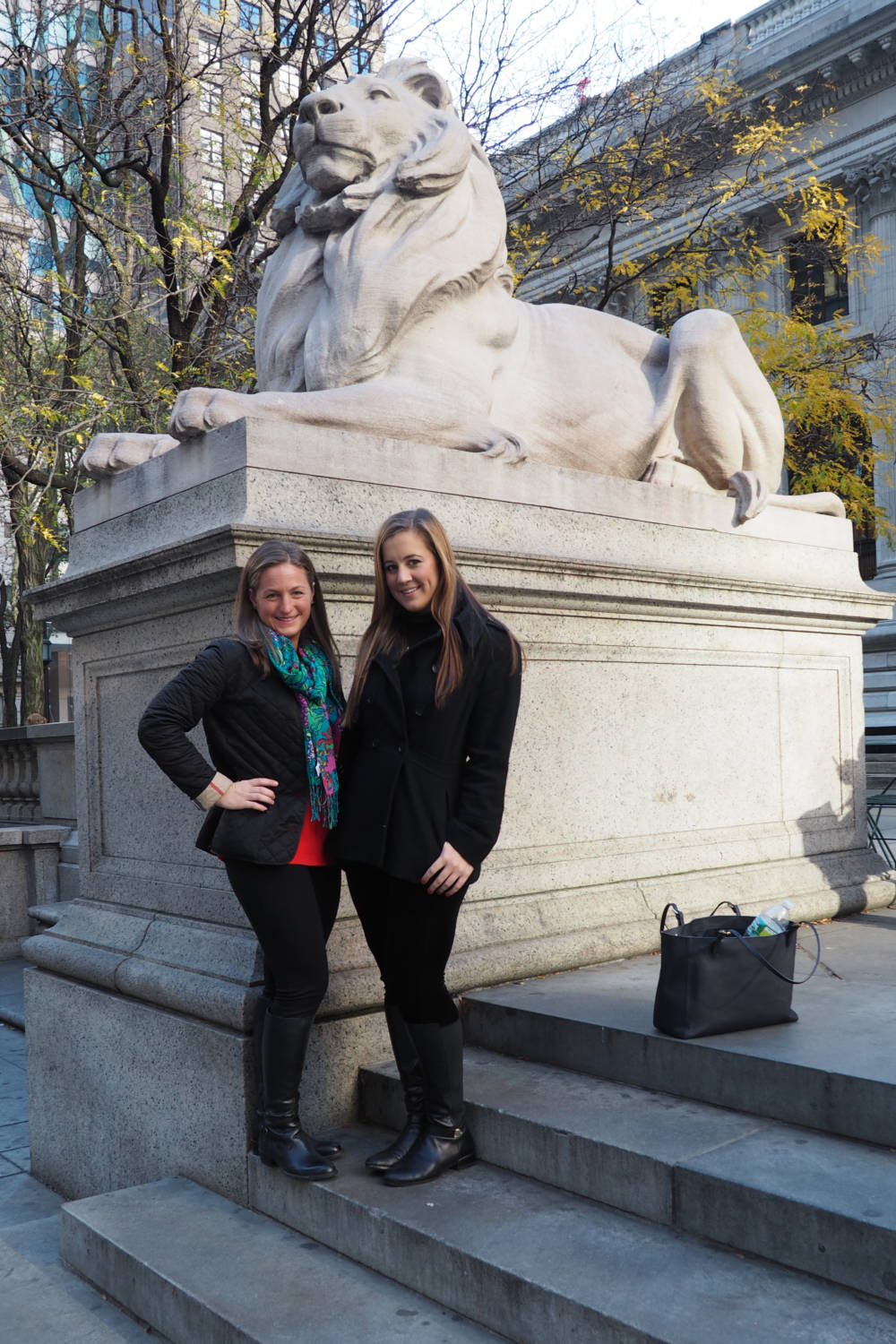 New York Public Library Lions