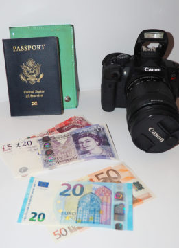 Sparkles and Shoes - Passport with Euros