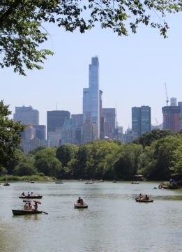 The Lake in Central Park
