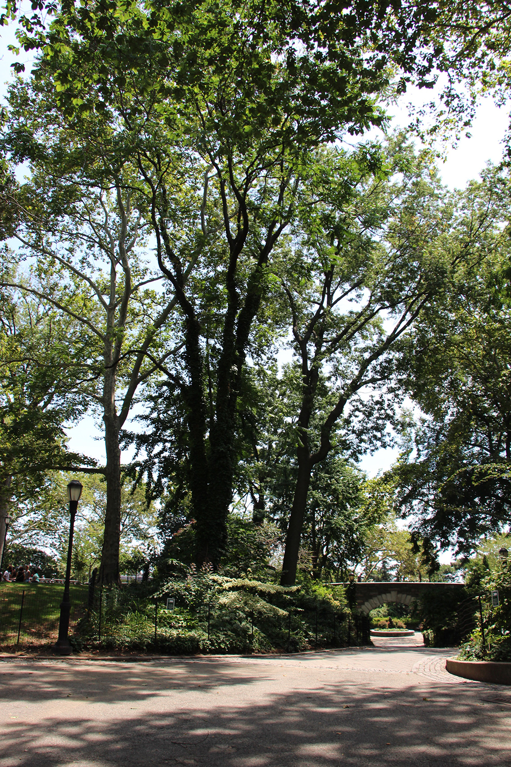 Bridge in Carl Schurz Park