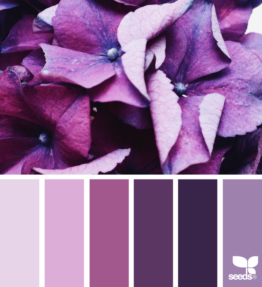 Design Seeds Color Palette Flora Hues 2