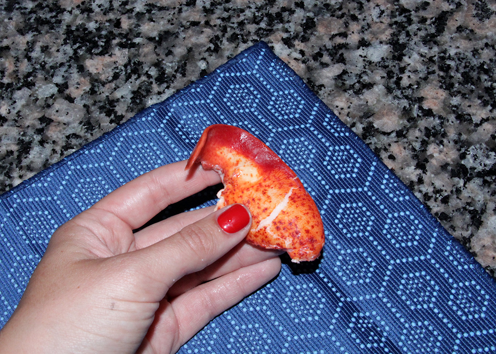 Lobster Claw with New Scotch-Brite® Scrubbing Dish Cloth