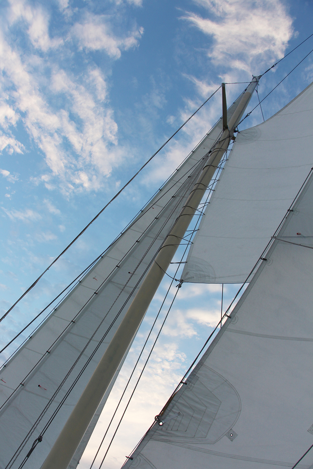 Sails of Liberte The Schooner