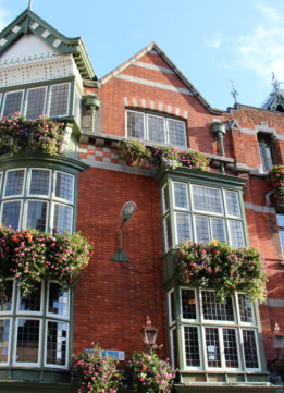 Flower Boxes on O'Neills Pub in Dublin