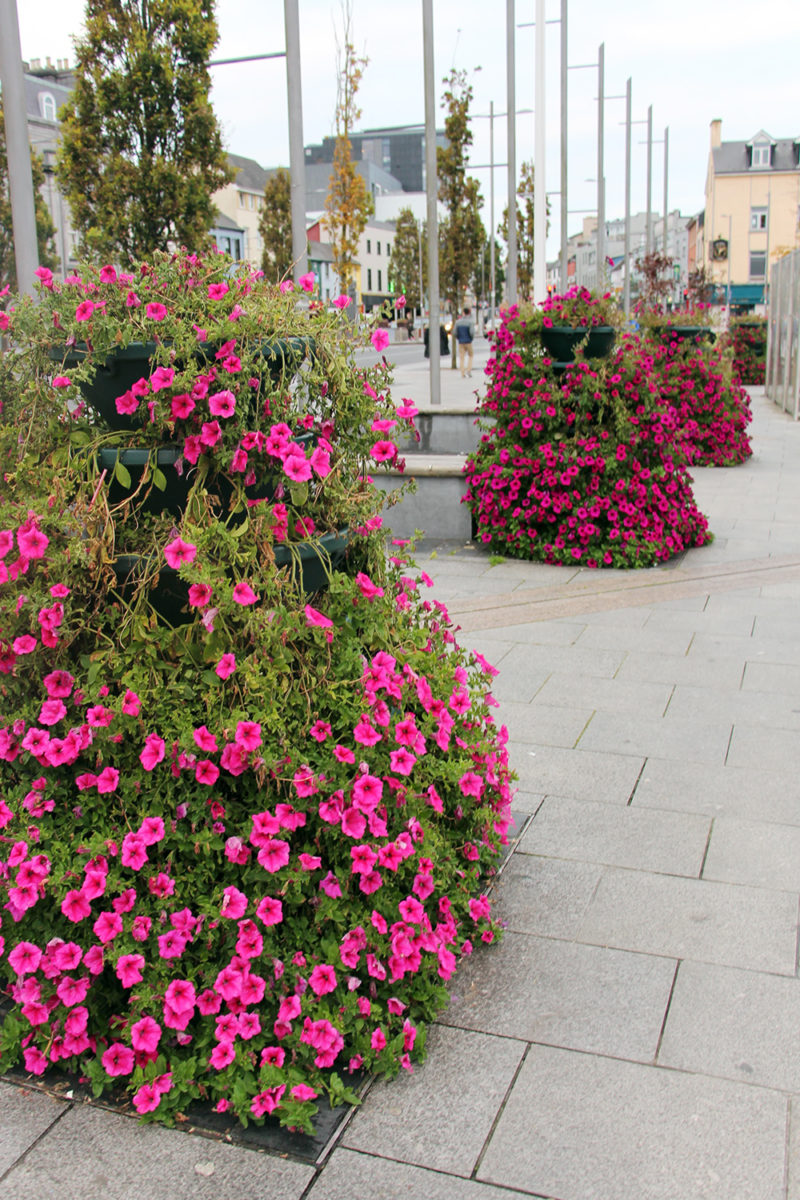A Travel Blogger Exploring Galway Ireland Sparkles and Shoes