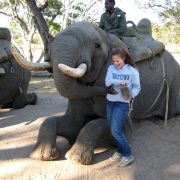 African Safari in Zambia