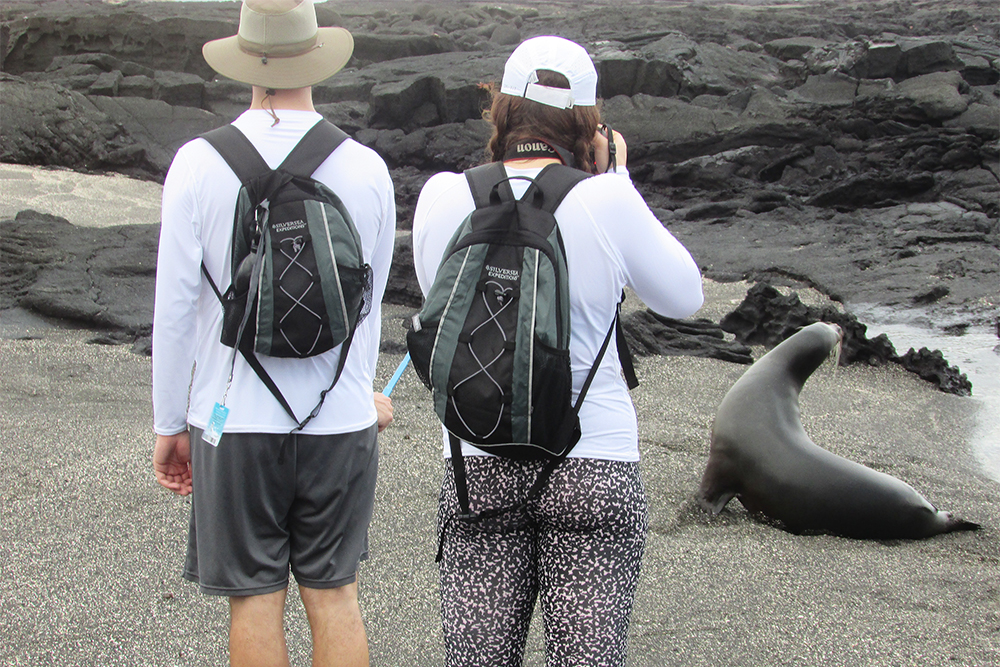 Photographing Galapagos Sea Lions on Fernandina Island