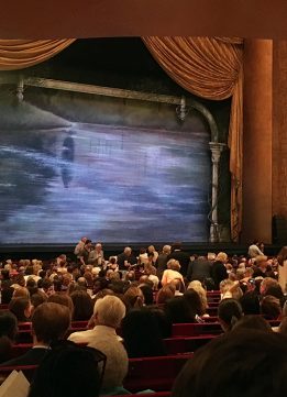 The Stage at the American Ballet Theatre production of Swan Lake