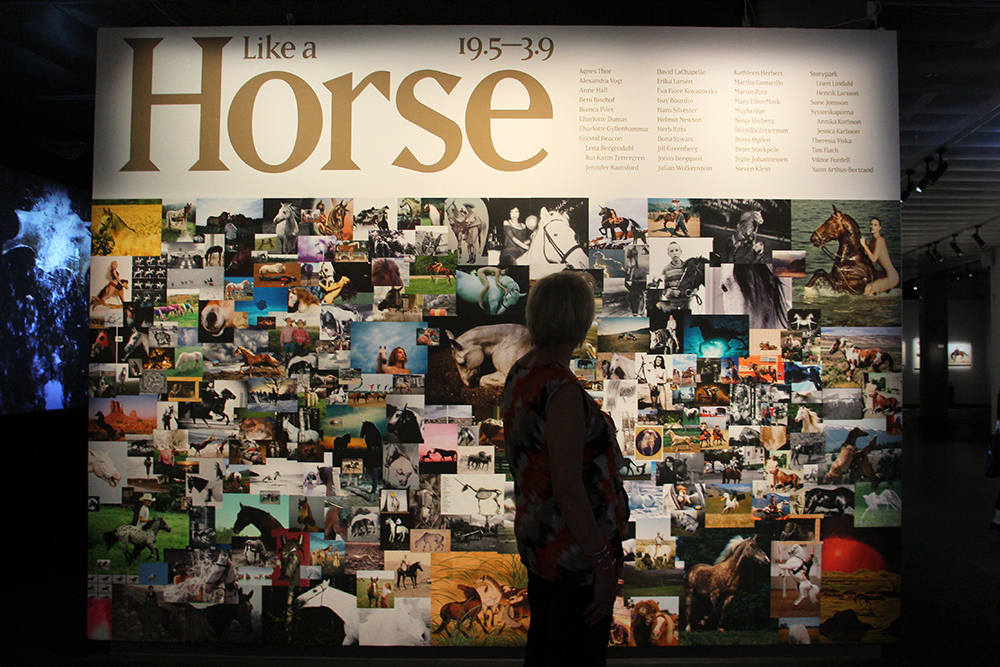 Like a Horse Exhibit at Fotografiska