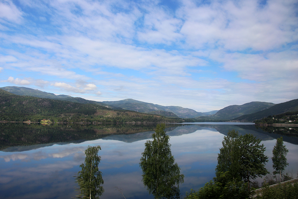 Norwegian Countryside from the Train