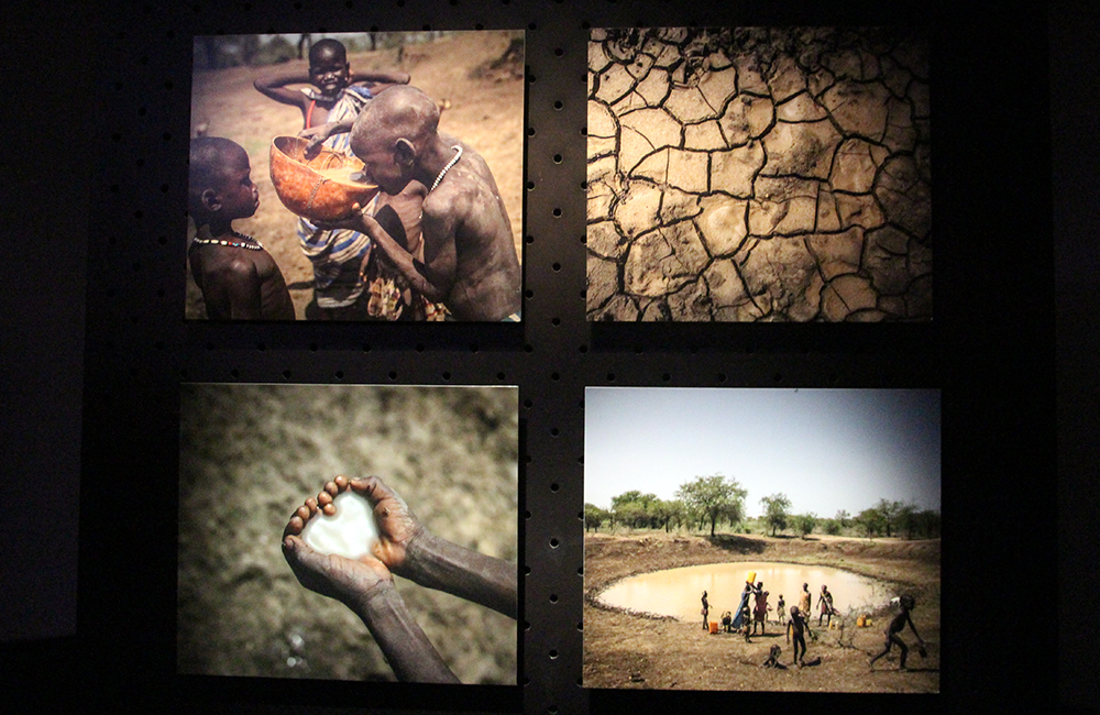 Shots from What's on the Plate Exhibit at Fotografiska