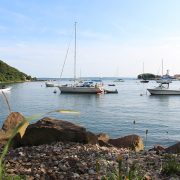 Cape Cod Bike Ride - Little Harbor Woods Hole