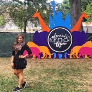 Electric Zoo Day Two