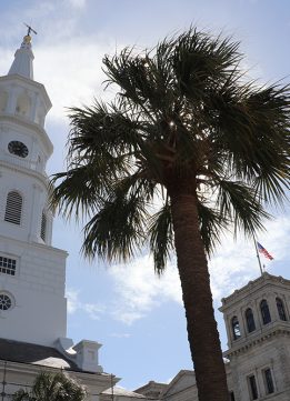Charleston Postcards - Historic District Walking Tour St. Michael's Church