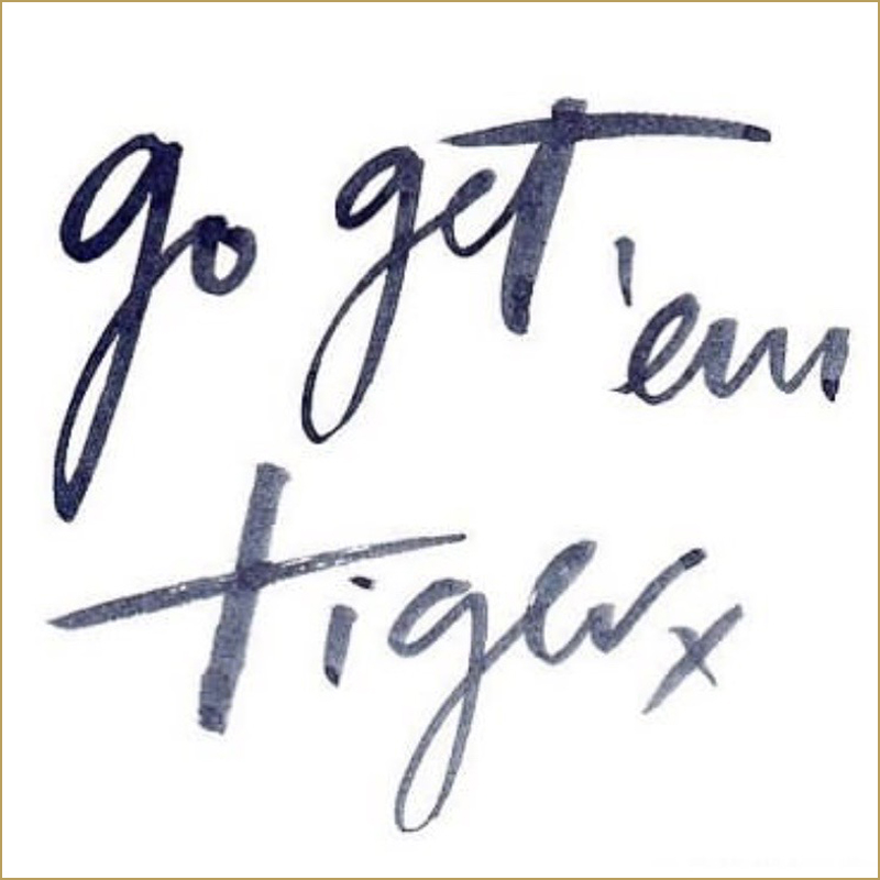 Instagram Quotes - Go Get Em Tiger