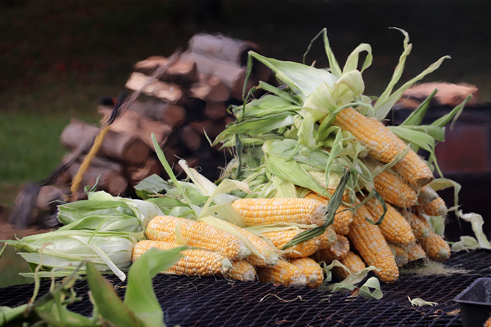 Sweet Corn on the Grill at Harvest Moon Farm & Orchard