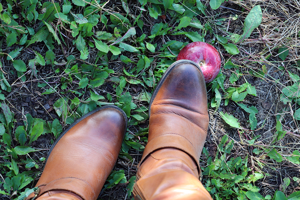 Vince Camuto Boots Apple Picking at Harvest Moon Farm & Orchard