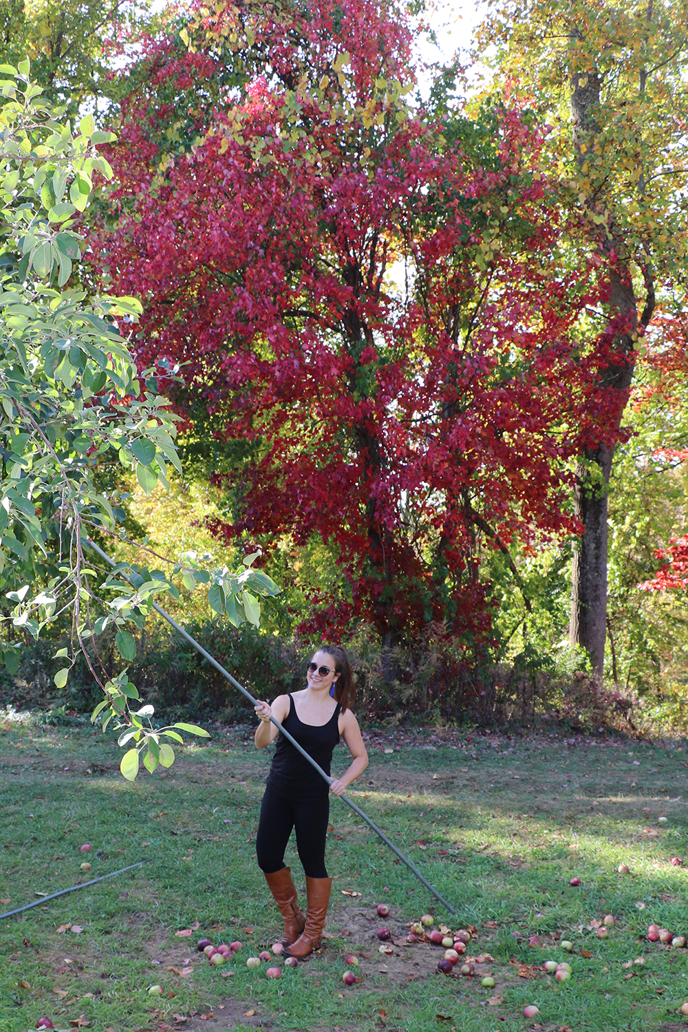 With the Apple Picker at Harvest Moon Farm & Orchard