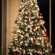 Christmas Tree 2017