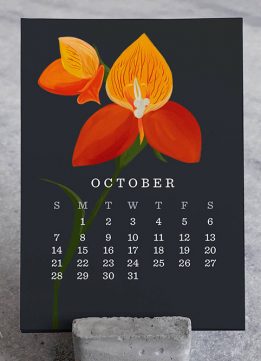 2018 Calendars - Orchid 2018 Desk Calendars