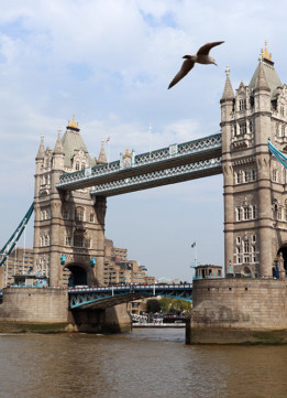 London Tourist Weekend - Tower Bridge
