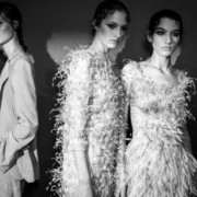 Birds of a Feather Trend - Spring 2018