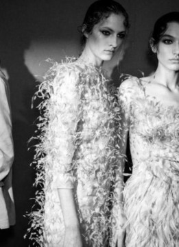 Birds of a Feather Trend - Spring 2018