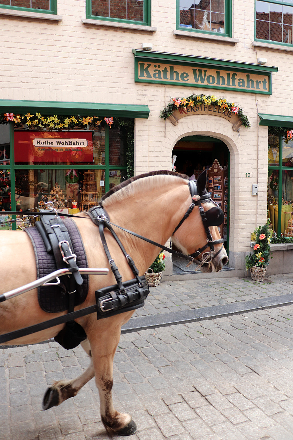 Best of Bruges - Horse in the Old Town