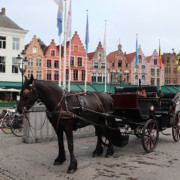 Best of Bruges - The Markt