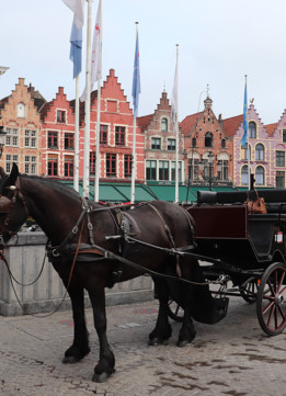 Best of Bruges - The Markt