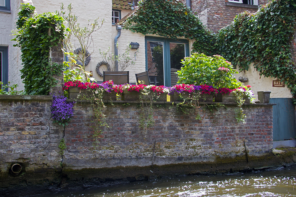 Bruges Boat Tour - Flowers on a Ledge