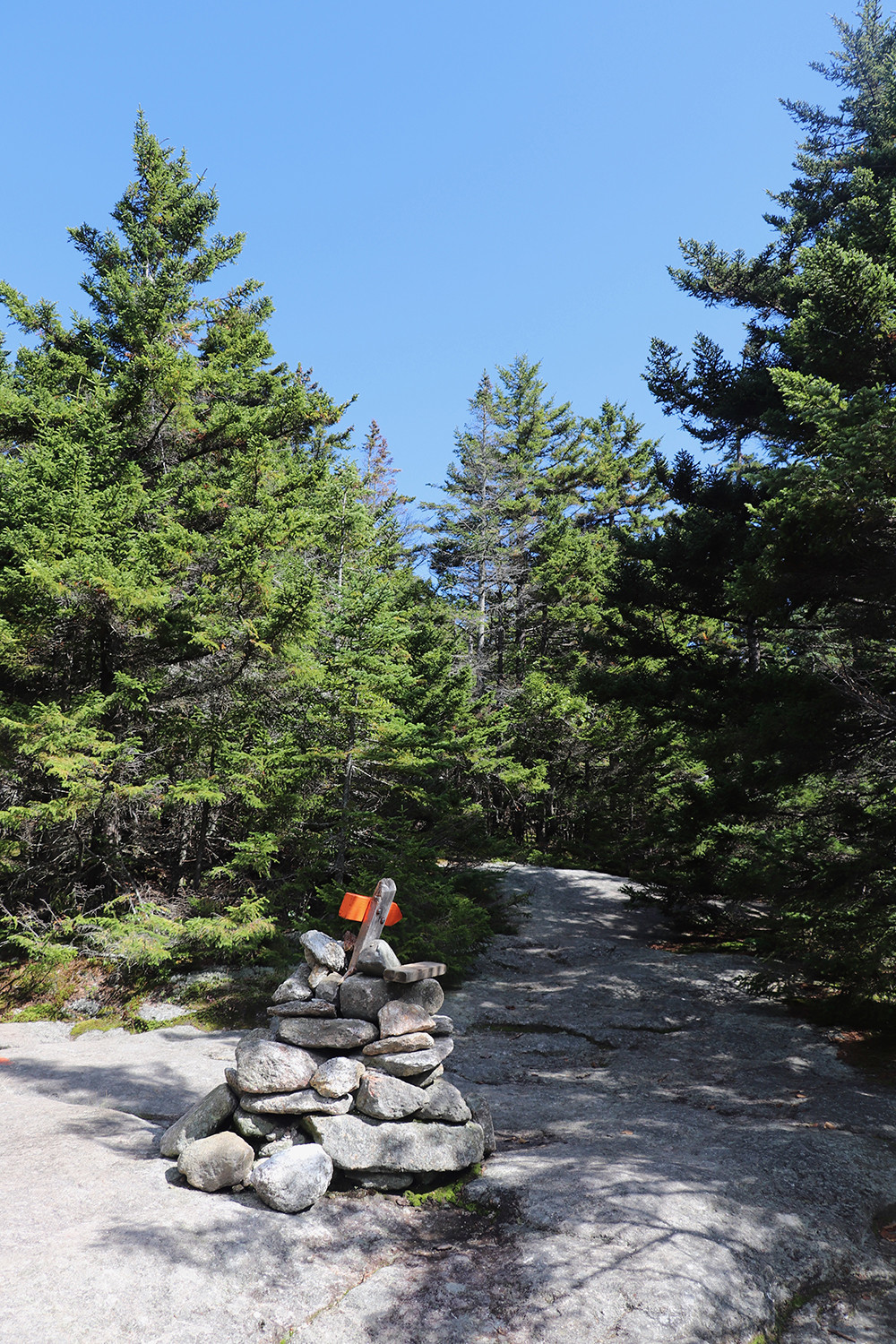 Last of Summer - Mount Cardigan