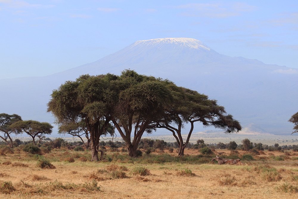 Mount Kilimanjaro View from Amboseli National Park