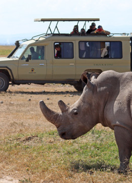 Rhinos at Mount Kenya Safari Club